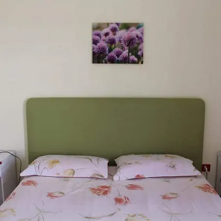 Trilo 아파트 *