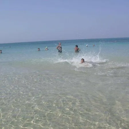 Trilo * טורה ואדו